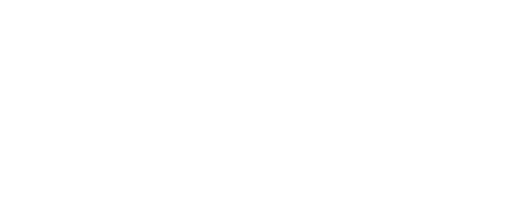Meta Partner Logo