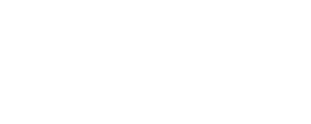 TikTok Partner Logo